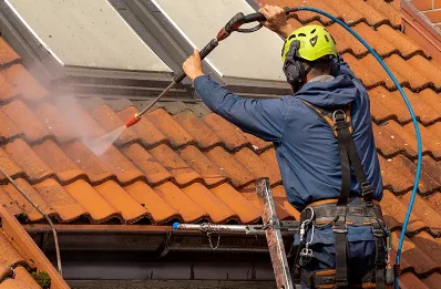 Démoussage et hydrofuge de toiture à Lisbourg